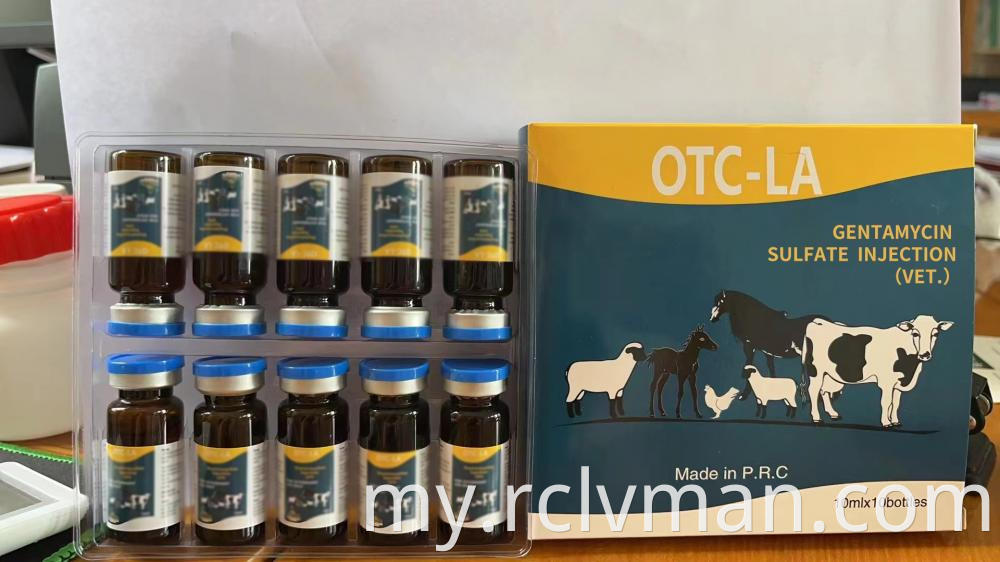 Gentamycin Sulfate Injection 2